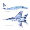 EXP-018 Mikoyan MiG-29 Fulcrum Russian Jet Fighter