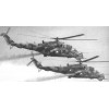 OTH-061 The Russian Attack Helicopter Mil Mi-24. Part 2 book