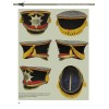 RVZ-098 Guards Corps. The lower ranks