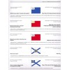 RVZ-129 Ship flags, pennants and wind vanes. 1700-2006 years