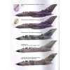 AKL-201206 AviaKollektsia N6 2012: Panavia Tornado Multirole Fighter Aircraft, Strike Aircraft magazine