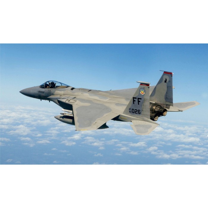 A0 page PLS-48008 1/48 F-15 Eagle fighter Full Size Scale Plans